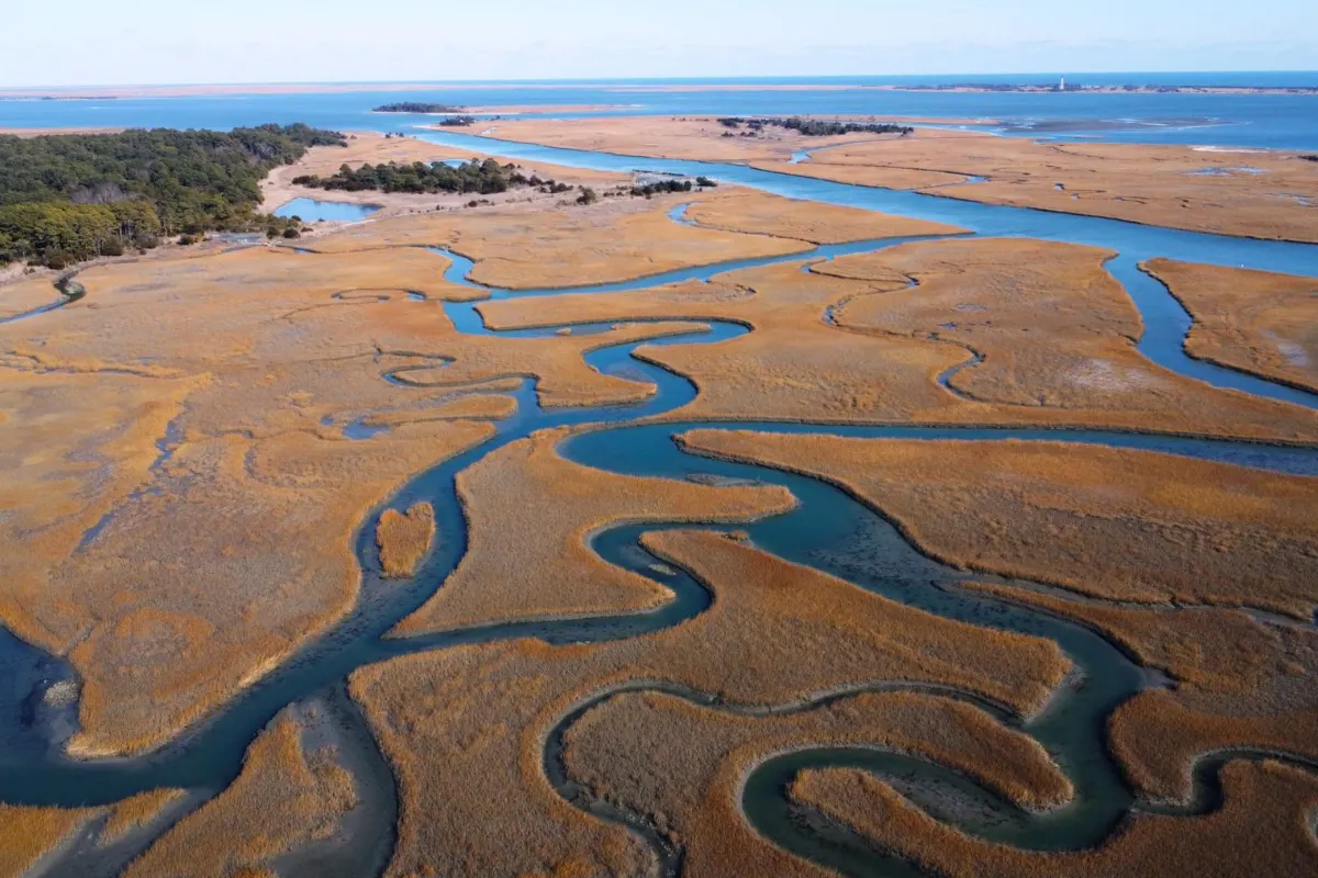 Aerial view of a South County salt marsh