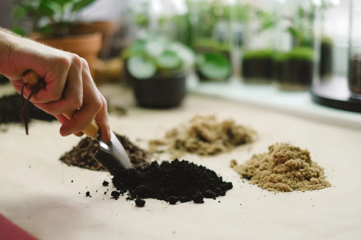 Soil samples from a test hole